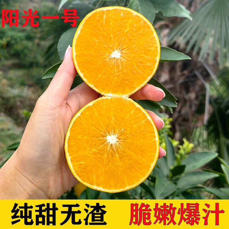 湖南怀化阳光一号桔柚洪江甜橘柚新鲜香甜多汁手剥橙皮薄当季水果