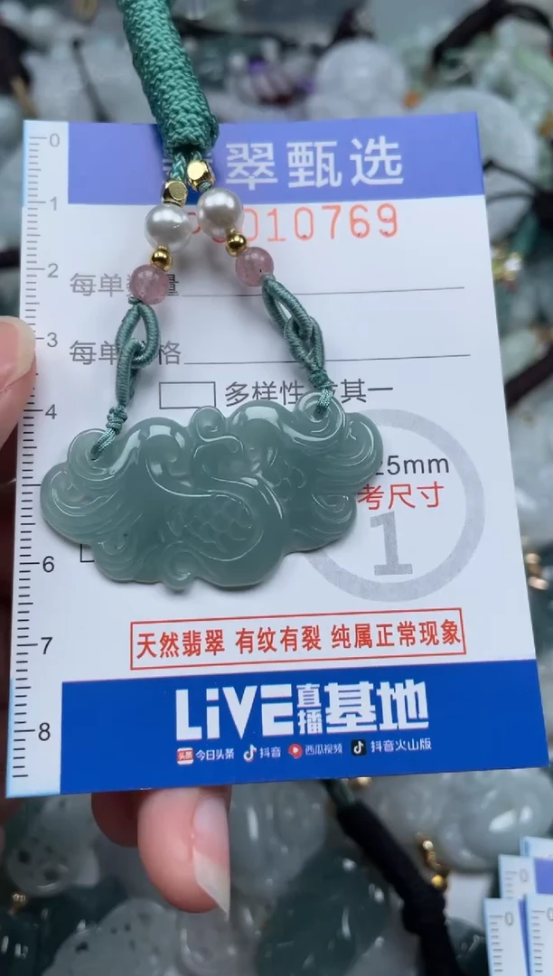 颈饰未镶嵌翡翠10769