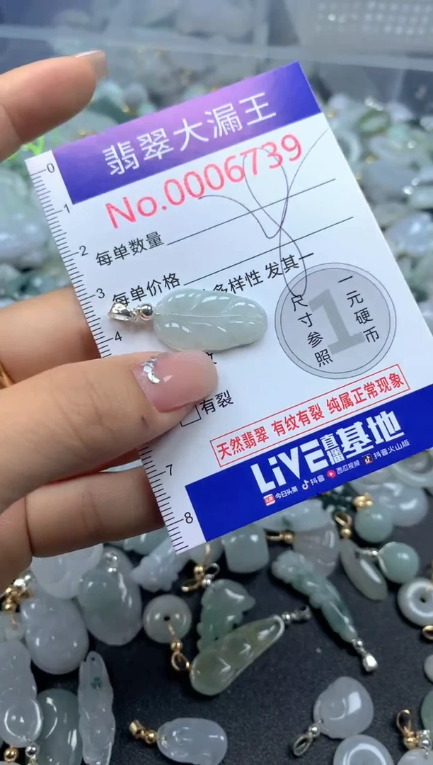 颈饰未镶嵌翡翠6739