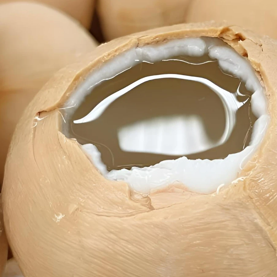 新鲜椰子 泰国椰皇 水果泰国奶香椰孕妇水果坏果包赔椰奶香纯甜