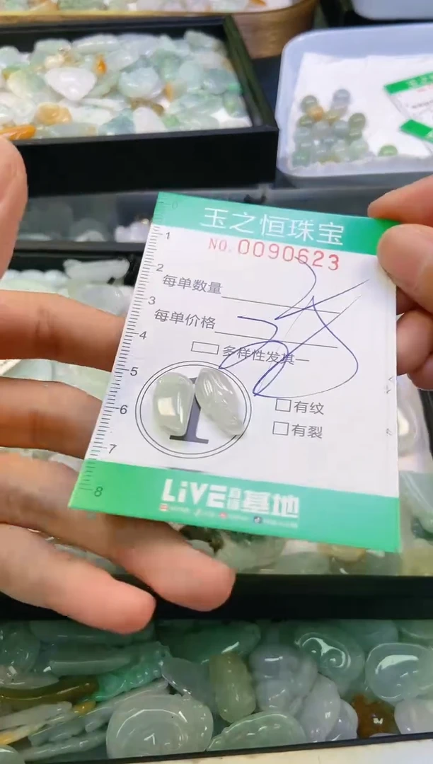 翡翠未镶嵌颈饰闪购0090623