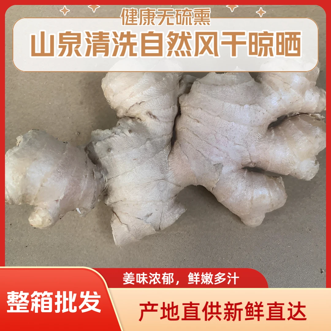 正宗小黄姜小生姜水洗生姜风干晾晒黄姜农家月子老姜整箱批发干姜