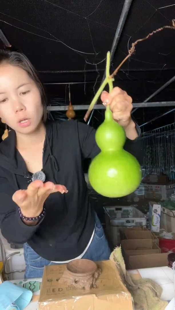427天然葫芦摆件 一物一拍龙头不保售后