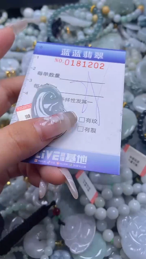 【闪购商品】翡翠颈饰未镶嵌闪购0181202