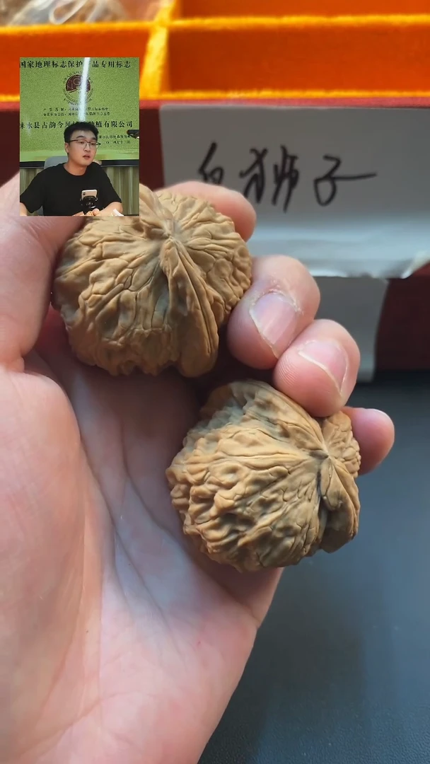 文玩核桃精品对白狮子