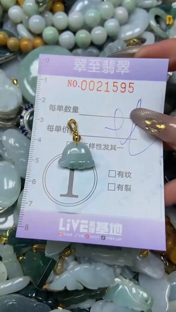 【闪购商品】翡翠颈饰未镶嵌闪购0021595
