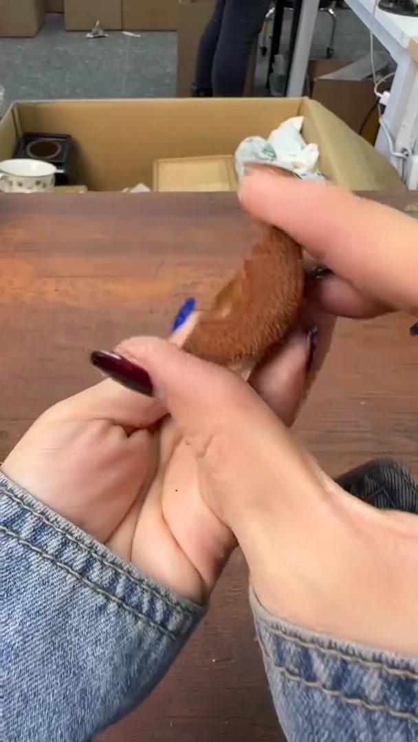 【闪购商品】欢迎欢迎欢迎欢迎