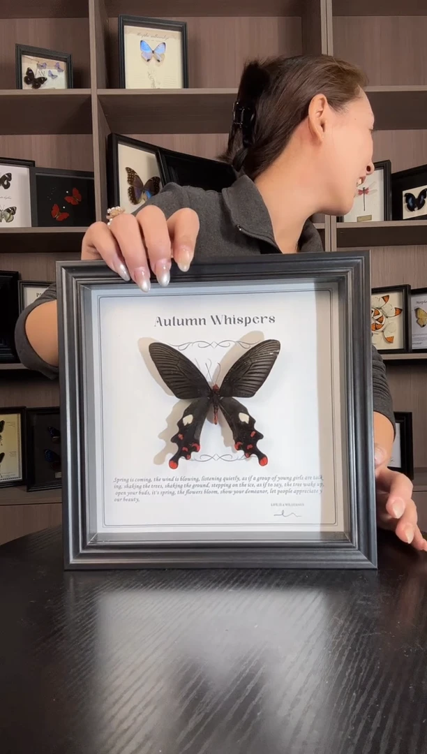 实木竖款麝凤蝶（蝴蝶装饰画8寸框）