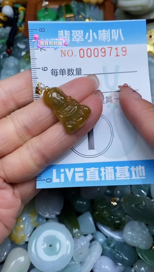 【闪购商品】翡翠颈饰未镶嵌闪购0009719