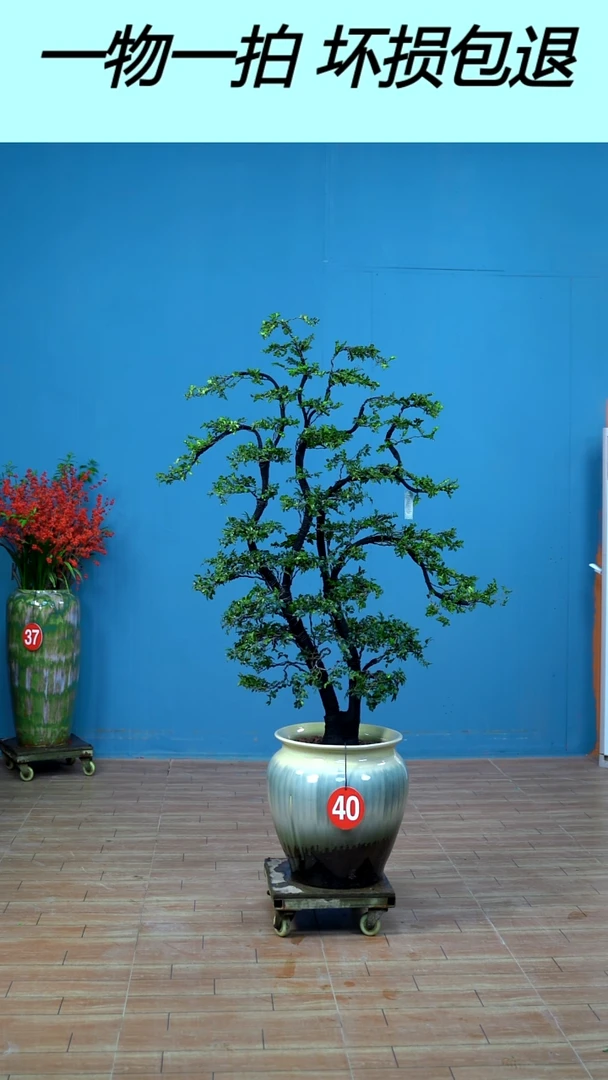 以实际为准广东小叶紫檀