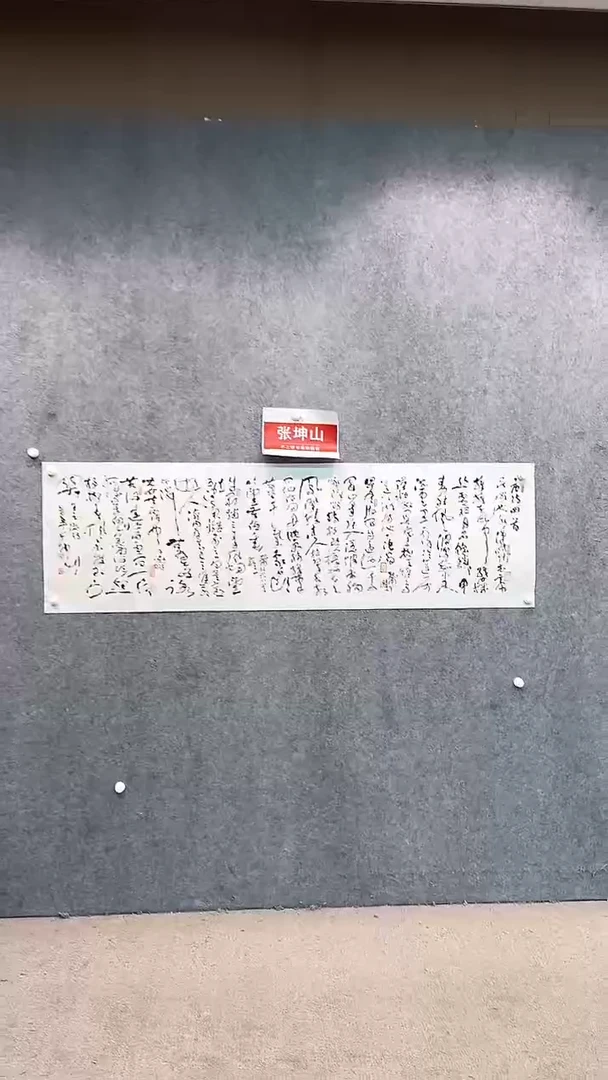 【闪购商品】国画pmw不二轩旗舰店书法ZKS9