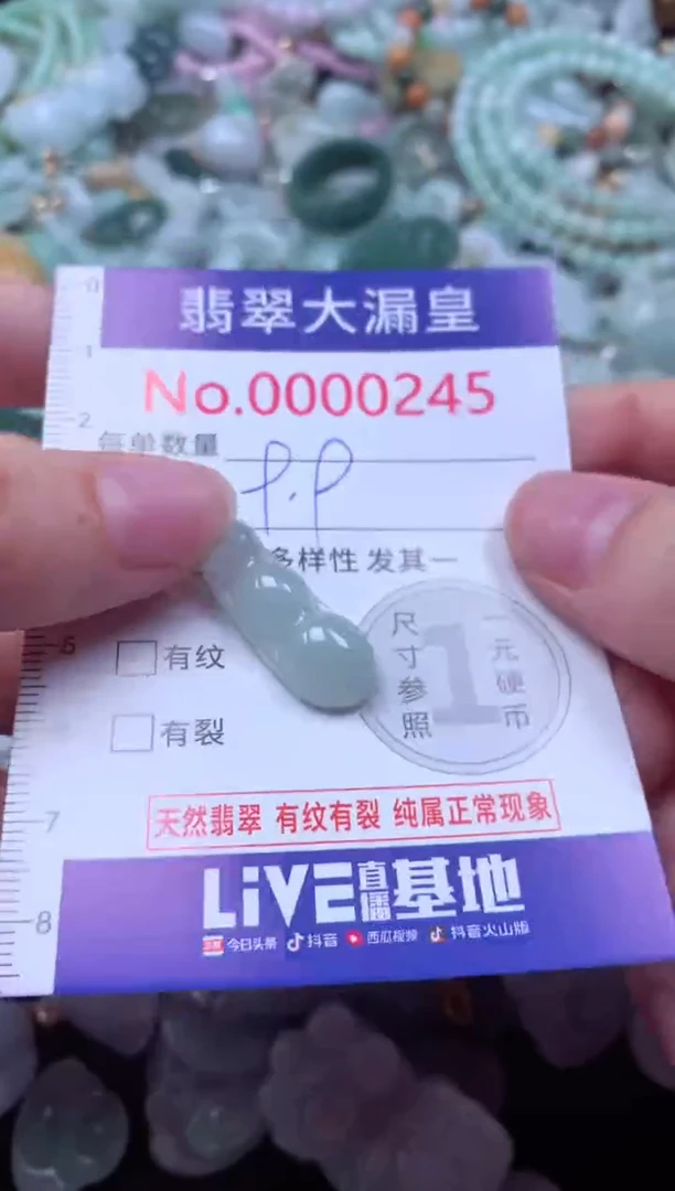 吊坠(不含链)未镶嵌翡翠245