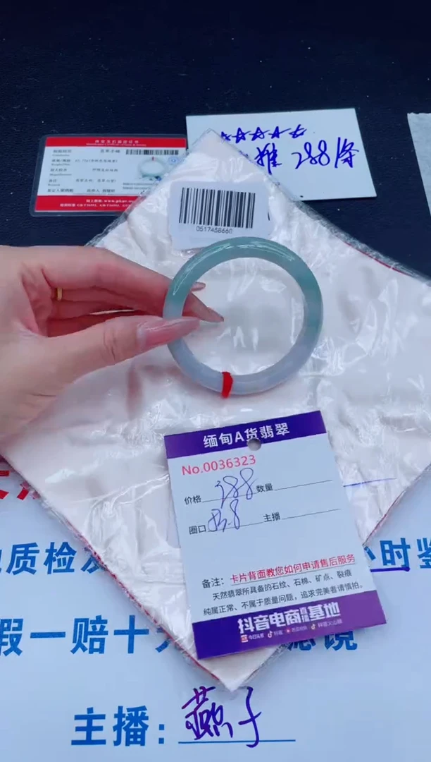 未镶嵌手镯翡翠1