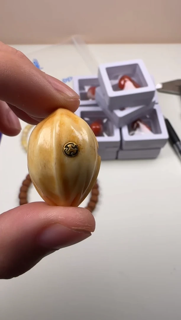 手串金刚菩提回流毛子
