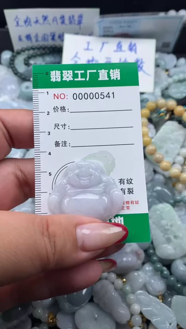 翡翠未镶嵌颈饰天然A货翡翠0541