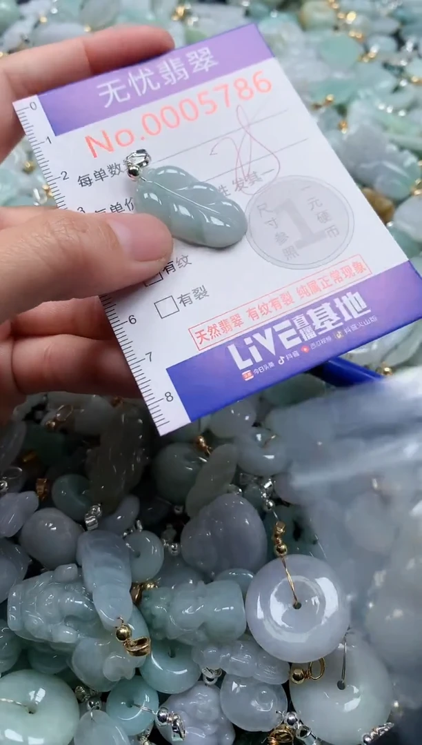 翡翠未镶嵌吊坠(不含链)5486