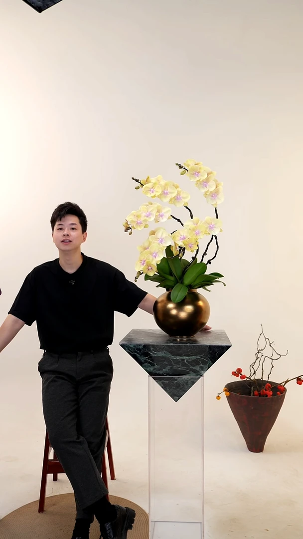 全部花朵026一物一拍蝴蝶兰盆景