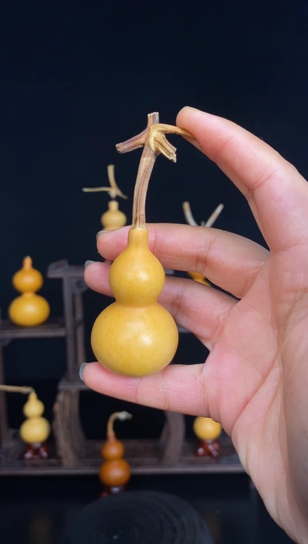 秃**条精品葫芦一物一拍