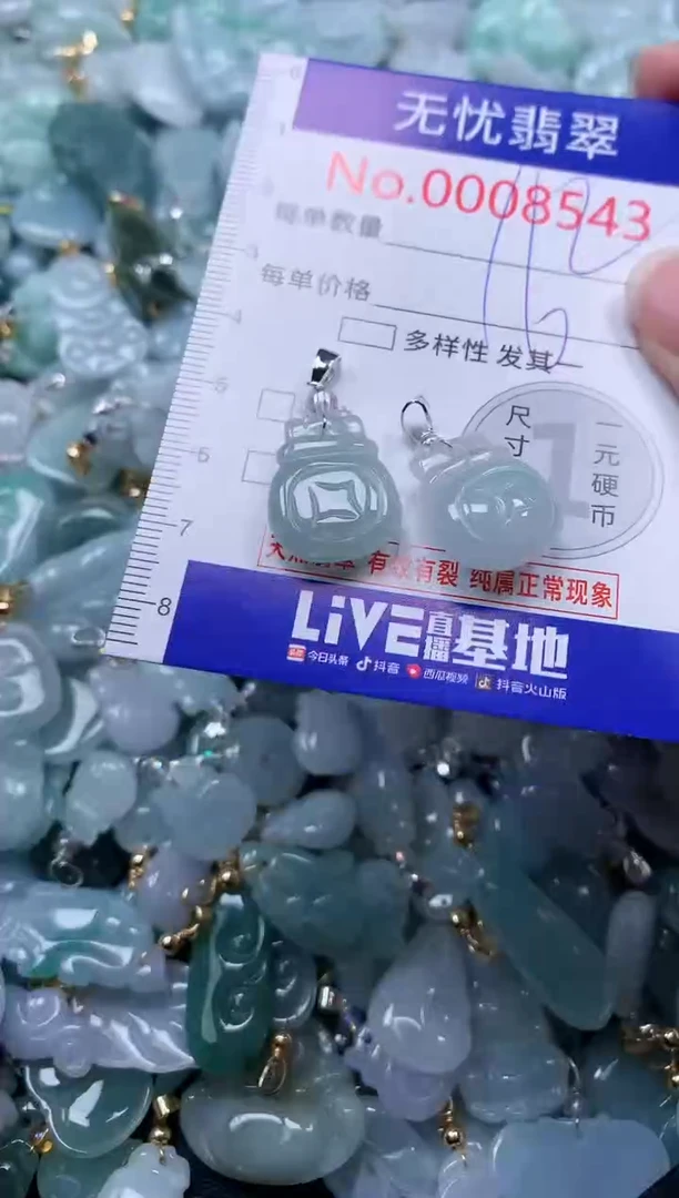 颈饰未镶嵌翡翠8543