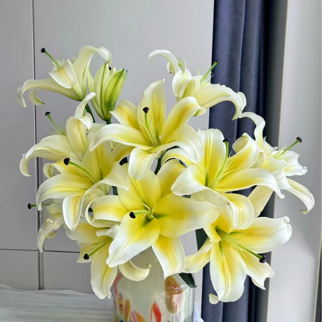 【花冠花卉】黄天霸单瓣香水百合 浓香型 云南基地直发水培鲜切花