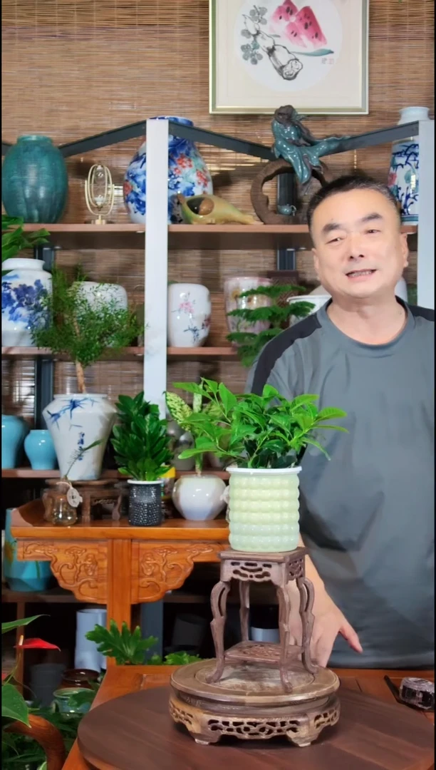 无花朵水之韵水培栀子花