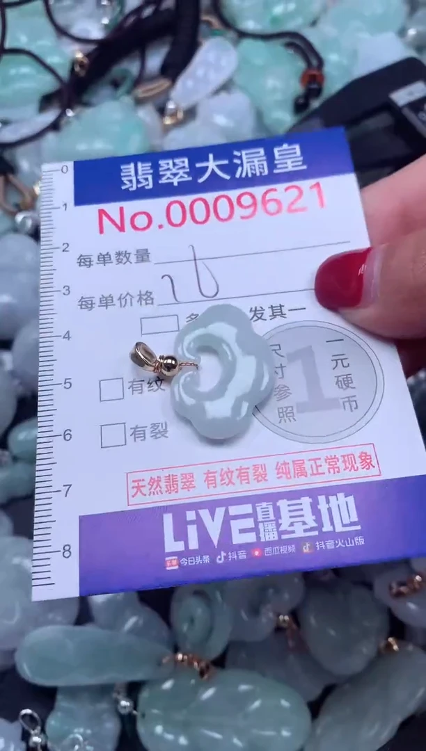 颈饰未镶嵌翡翠9621