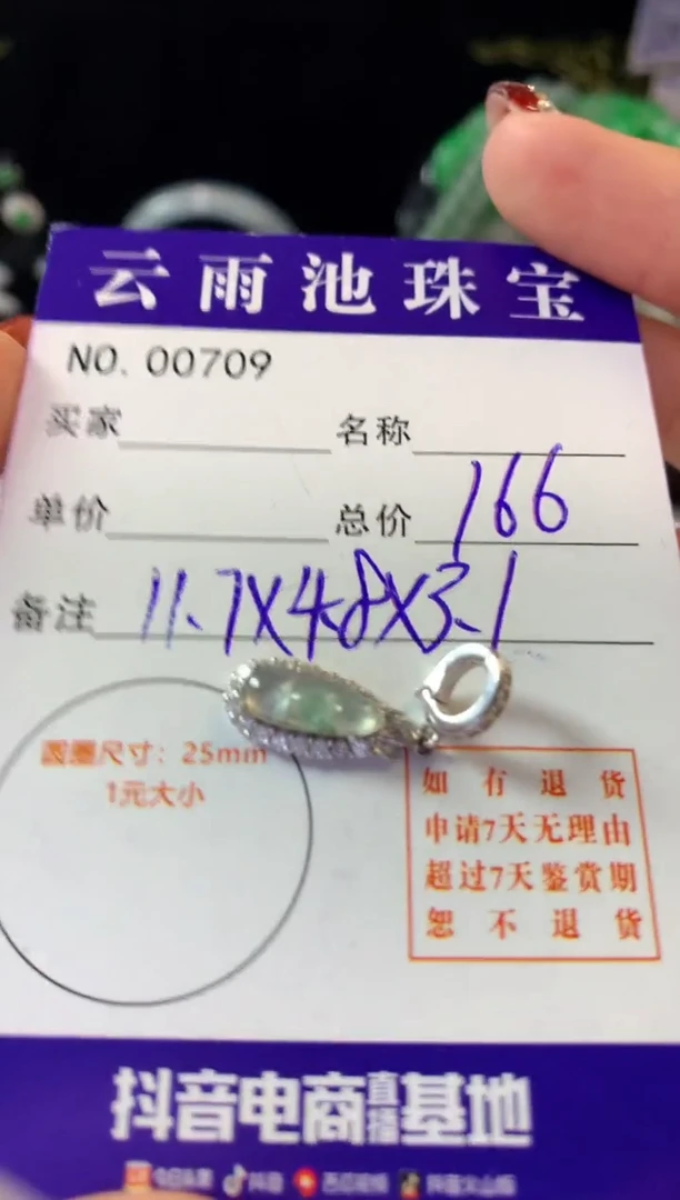 翡翠银S925镶嵌颈饰翡翠