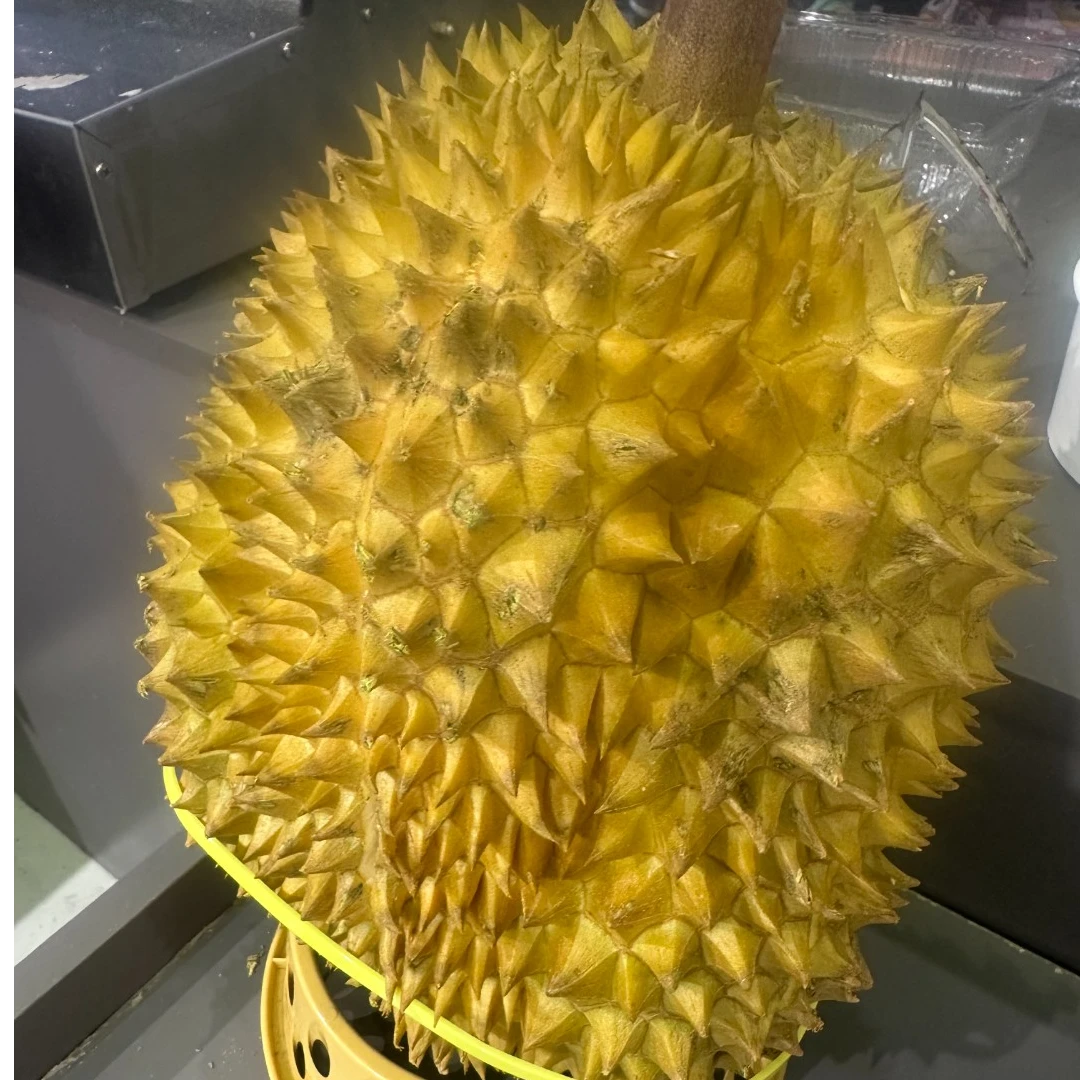 小时达【金枕榴莲扒盒】榴莲同城/送新鲜榴莲/干尧核大/金枕核小500g金枕泰国