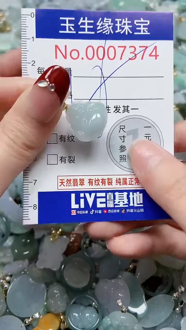 【闪购商品】翡翠颈饰未镶嵌闪购00007374