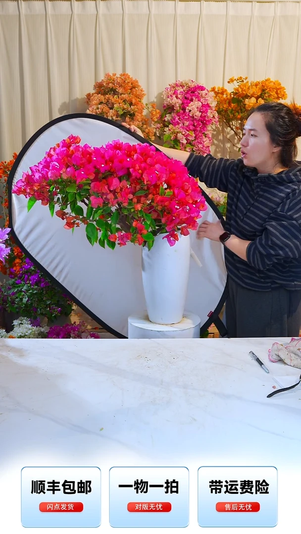 大部分开放少量花苞艳*同安红
