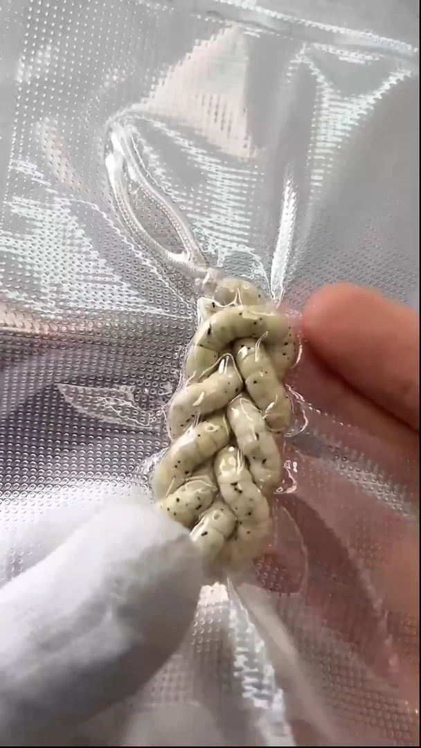 手串星月菩提6mm数星星大肠手持 海南原生态石玉料同枝果