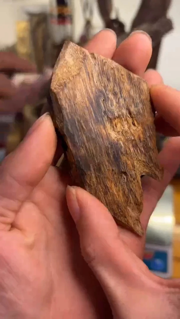 沉香沉香碎屑乌身圆叶品种14.6克