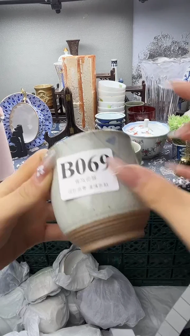 瓷片达**氏  B069