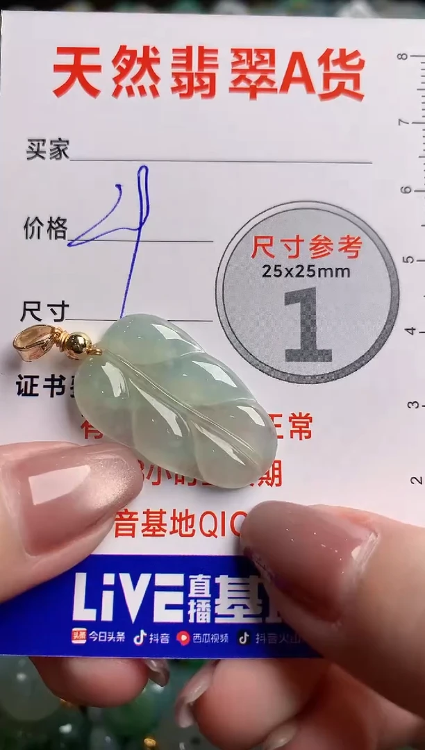翡翠未镶嵌颈饰24000924