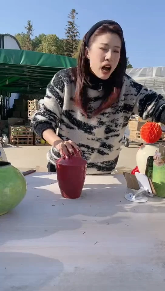 【闪购商品】陶瓷景德镇手工陶瓷推