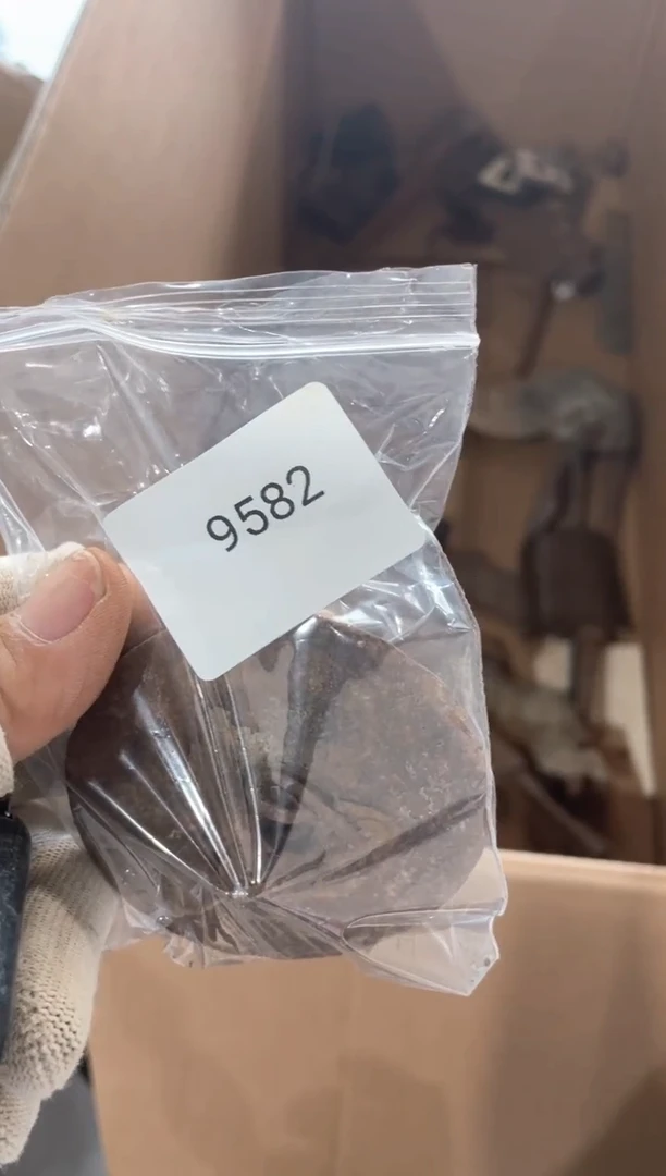 器55667788202506129582