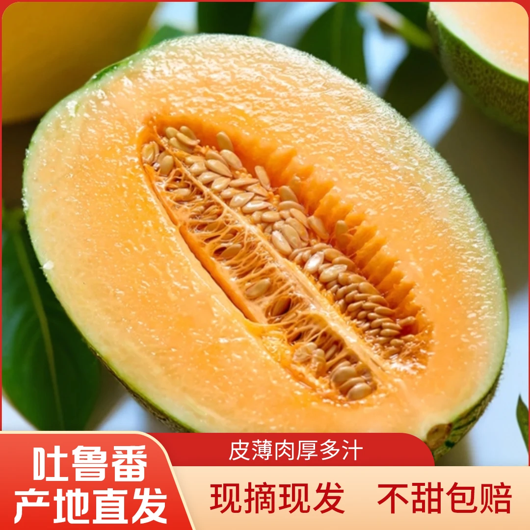 正宗新疆吐鲁番现采西州蜜25号哈密瓜新疆哈密瓜香甜多汁新鲜