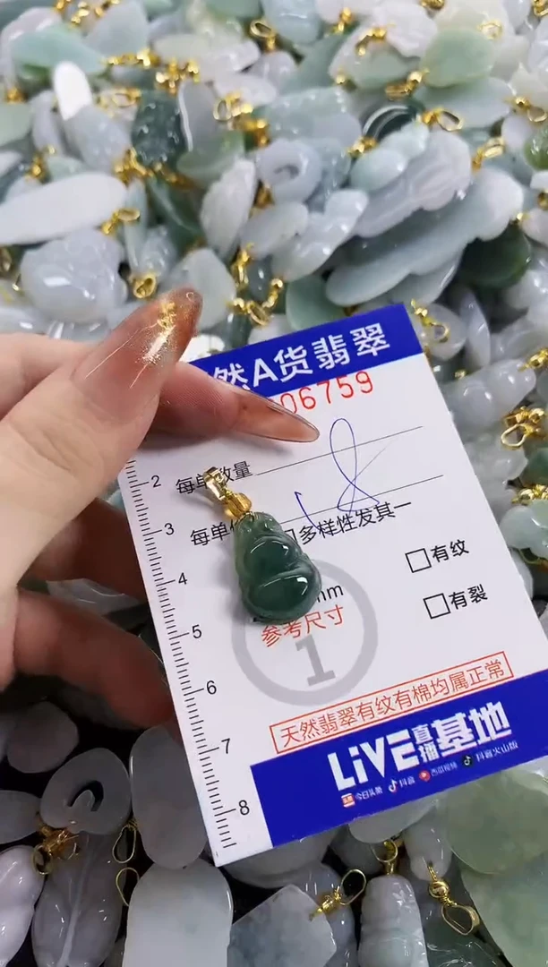 颈饰未镶嵌翡翠天然A货翡翠