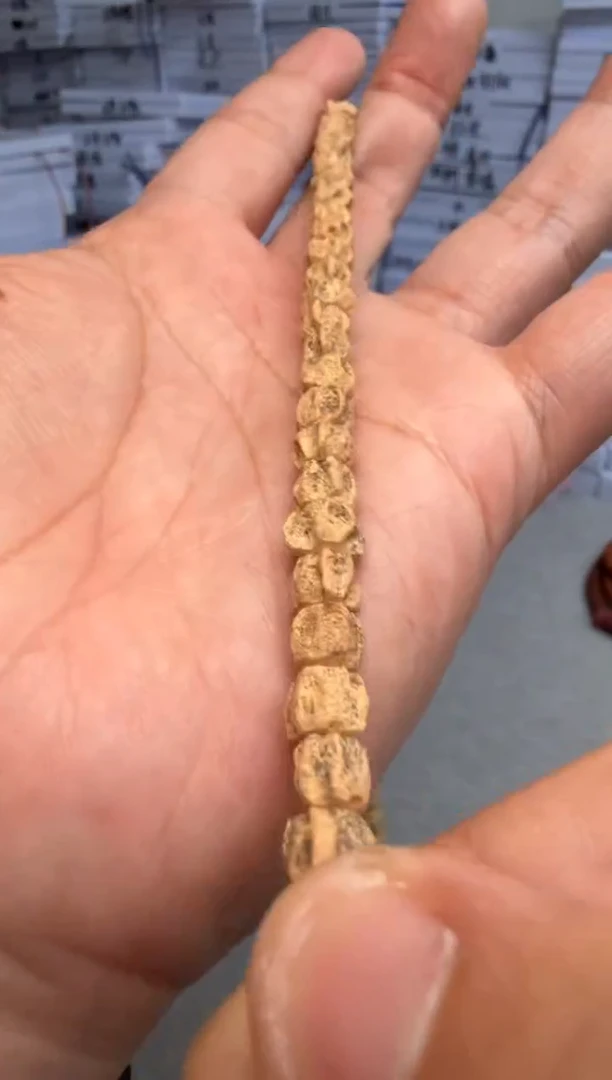 吊坠柏香籽/百香籽6307