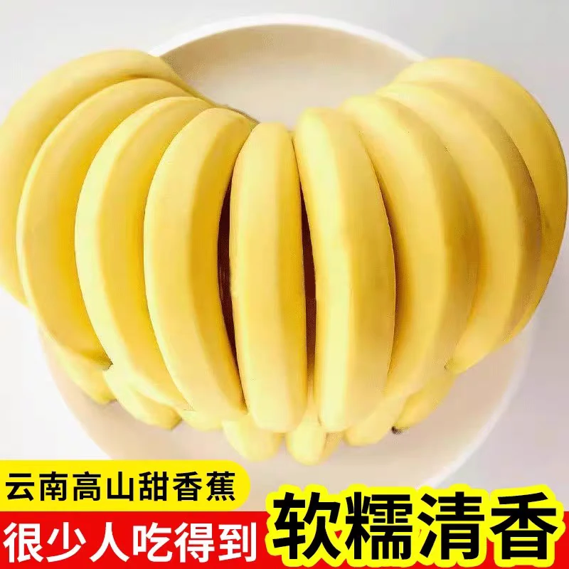 【国产香蕉】云南高山甜香蕉 500g 爆甜大香蕉