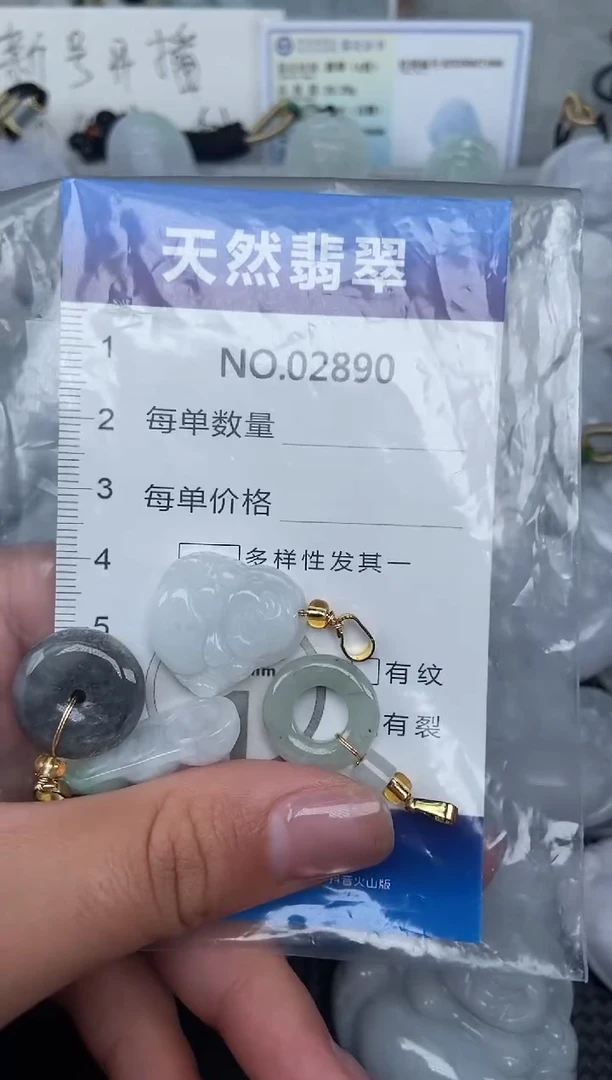 颈饰未镶嵌翡翠纯天然A货翡翠2890