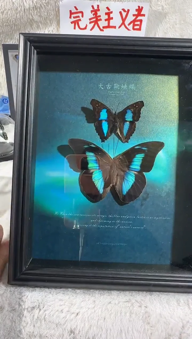 蓝带容和大古靴