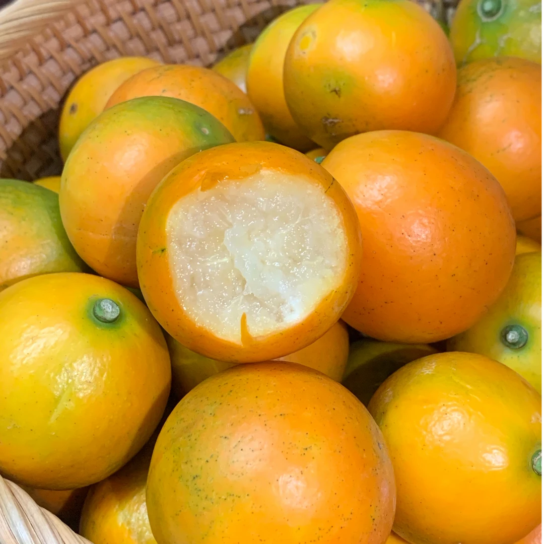 第三代融安脆蜜金桔高端新鲜现摘当季水果
