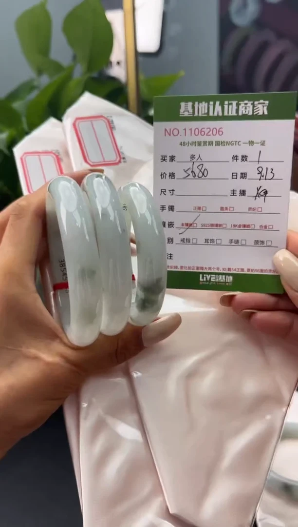 未镶嵌手镯翡翠多样性拍一发一
