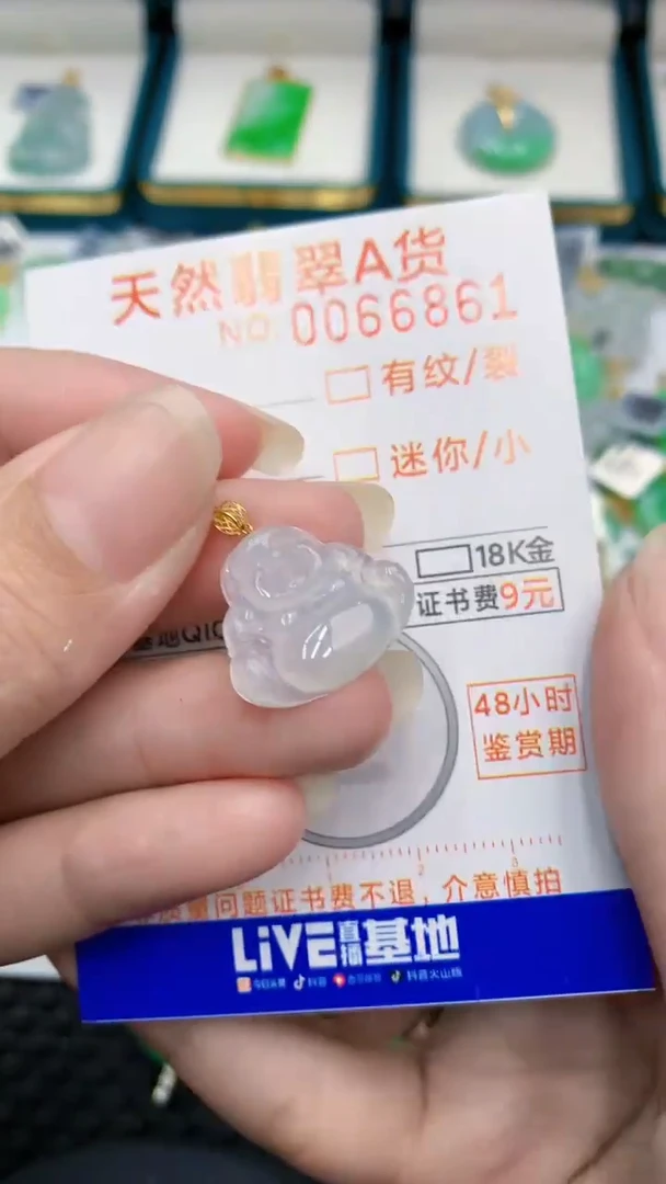 【闪购商品】翡翠颈饰18K金镶嵌            8