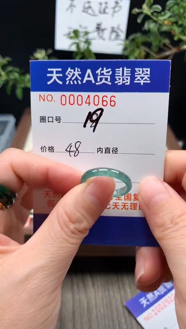 未镶嵌戒指翡翠19#