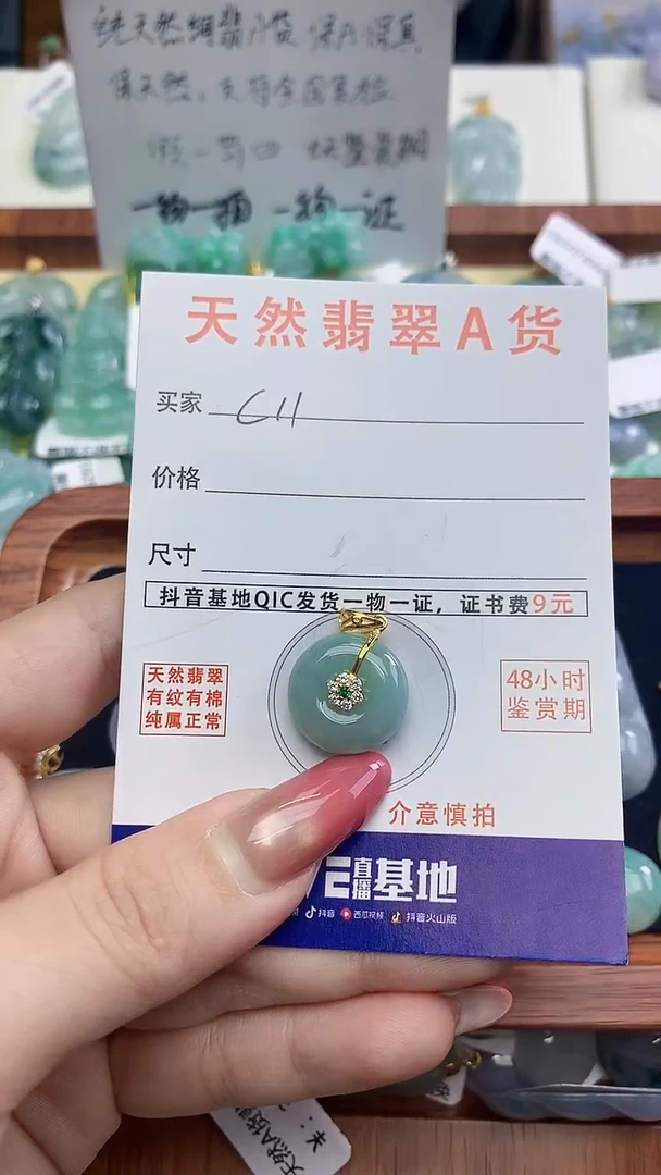 颈饰未镶嵌翡翠天然A货翡翠挂件
