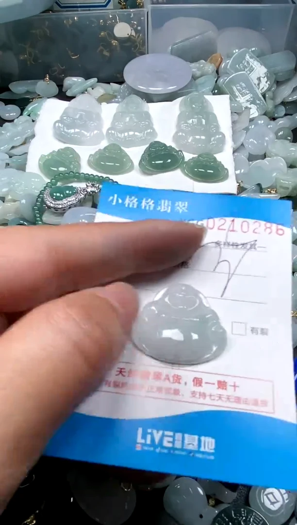 【闪购商品】翡翠颈饰未镶嵌闪购商品0210286