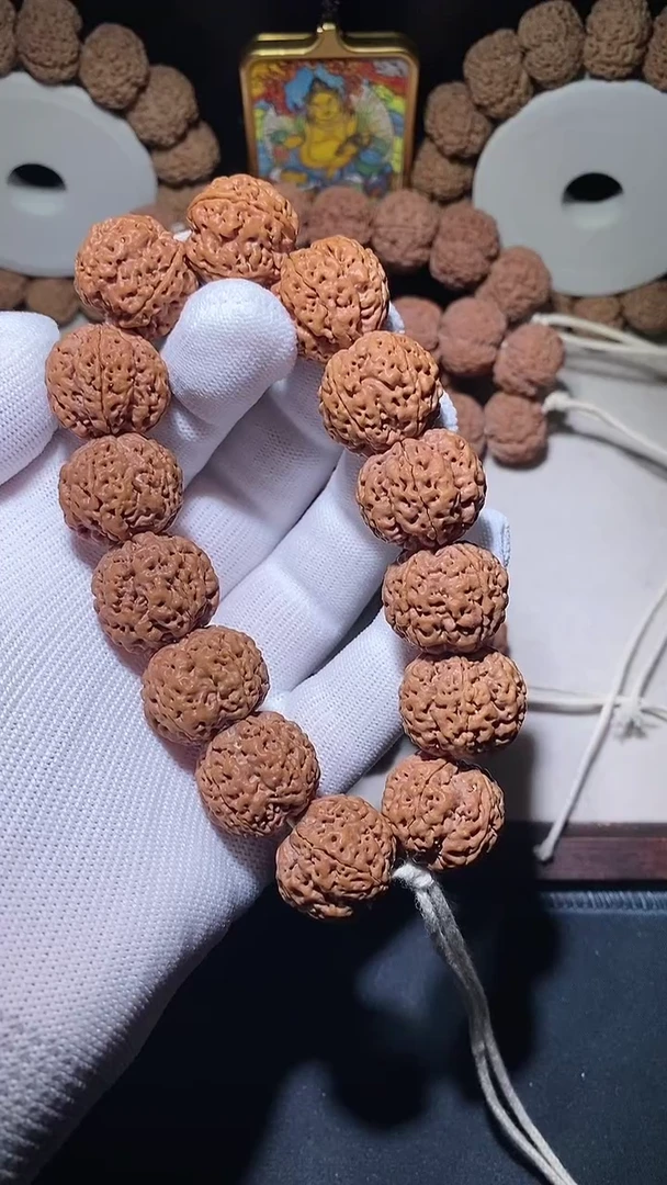 【闪购商品】金刚菩提手串超头针孔满肉五星蜂王21