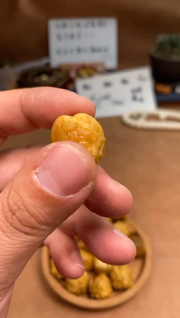 【闪购商品】鹿骨其他杂件037-扎基拉姆